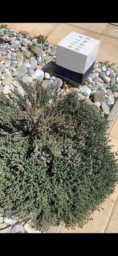 Dione Villa Kokkinos Pirgos Buitenkant foto